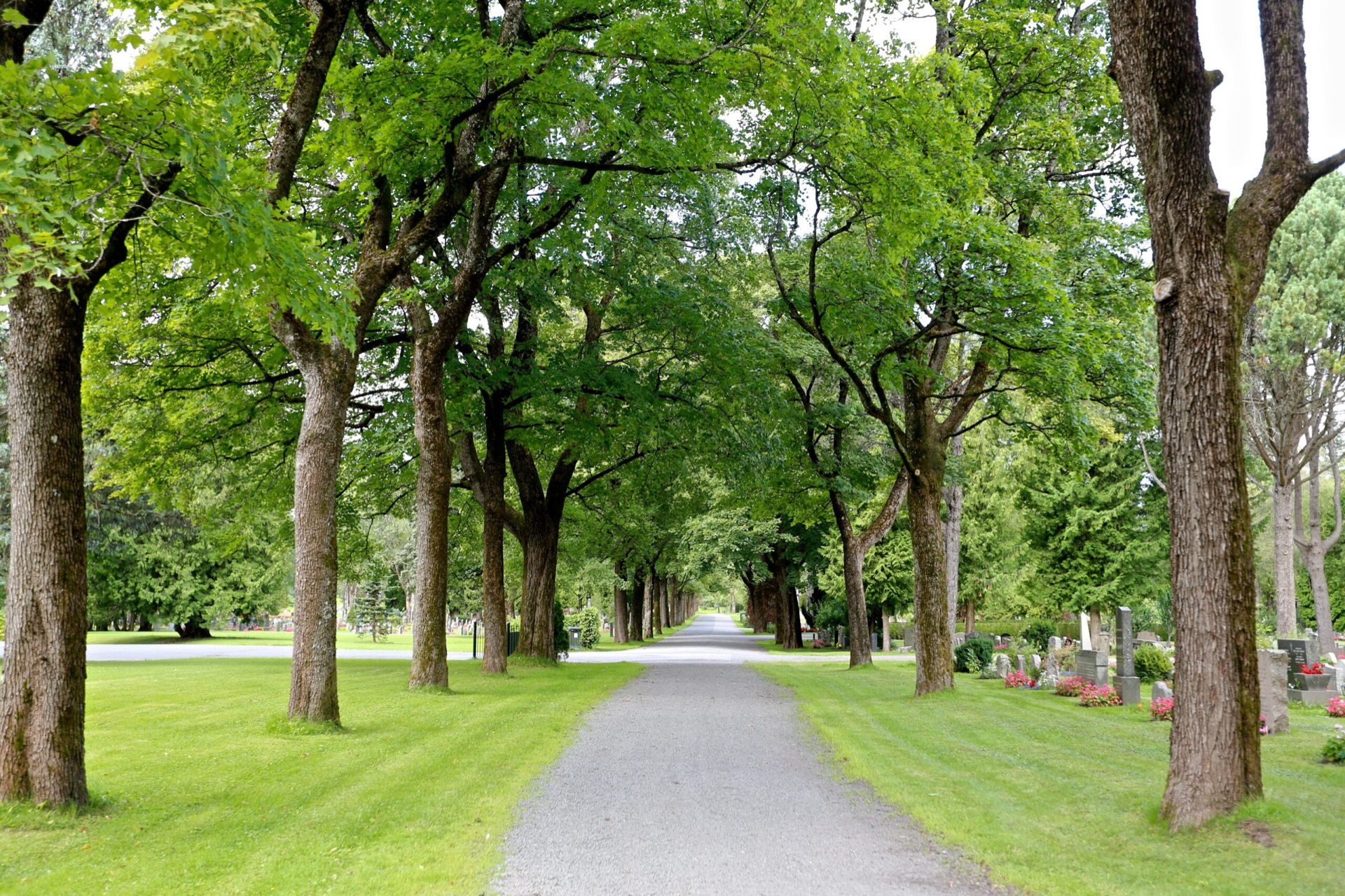 Kirke og gravlund sett ovenfra